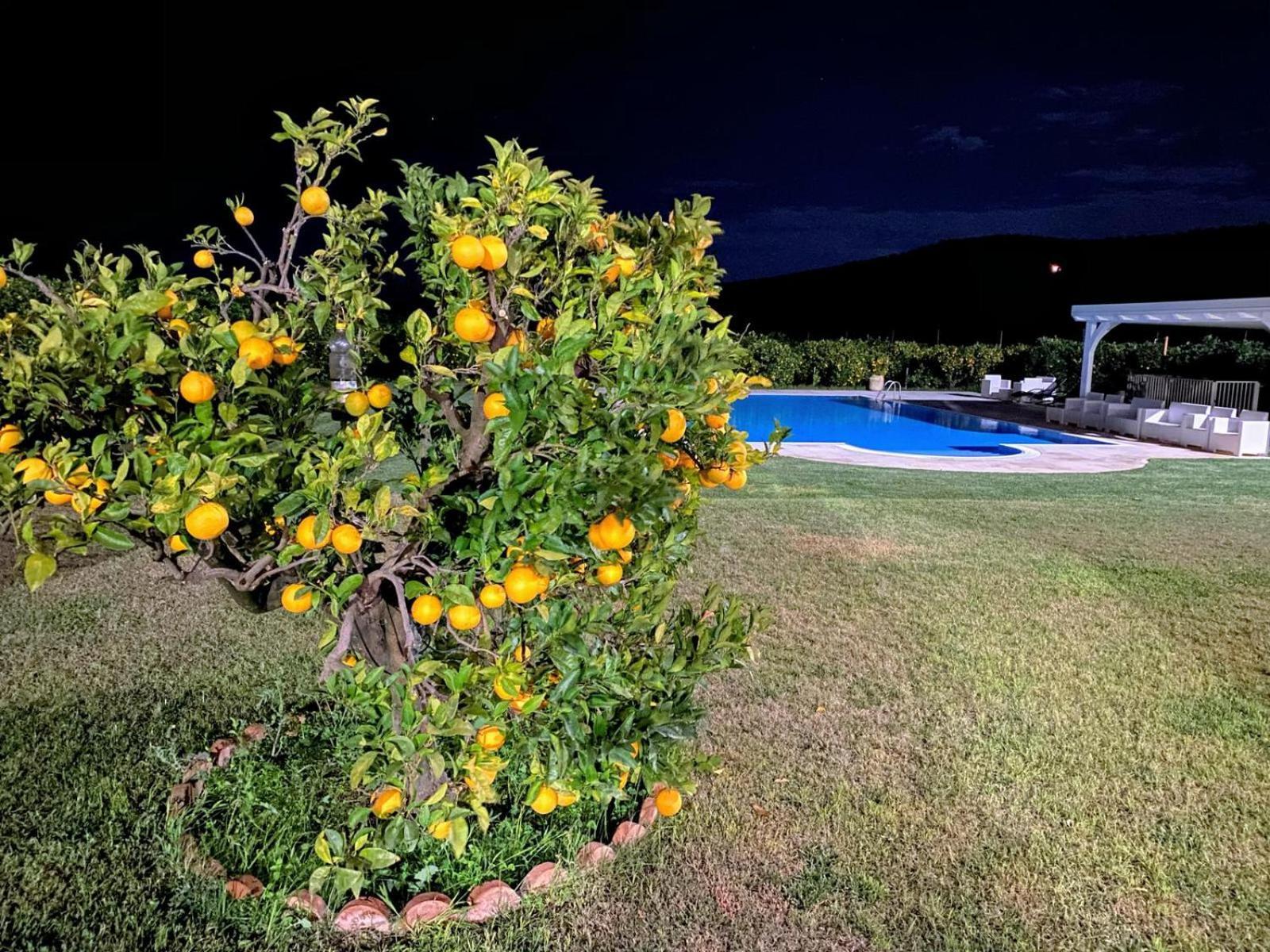 Agriturismo Trappeto Vecchio San Demetrio Corone Bagian luar foto