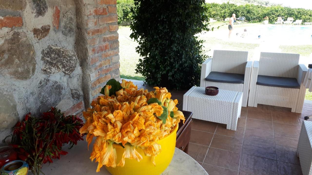 Agriturismo Trappeto Vecchio San Demetrio Corone Bagian luar foto