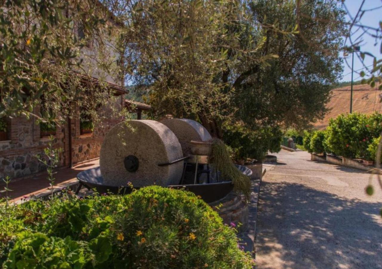 Agriturismo Trappeto Vecchio San Demetrio Corone Bagian luar foto