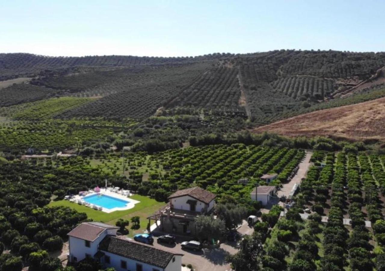 Agriturismo Trappeto Vecchio San Demetrio Corone Bagian luar foto