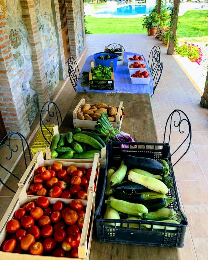 Agriturismo Trappeto Vecchio San Demetrio Corone Bagian luar foto